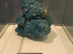 -金钉子远古世界景区
