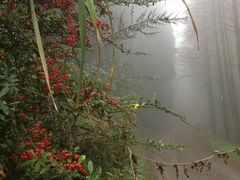 -山王坪喀斯特国家生态公园