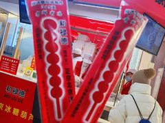 -和禄德冰糖葫芦