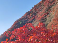 -水峪民俗村