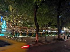 -广州白天鹅宾馆