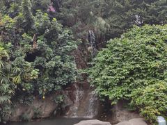 -金鸡山公园