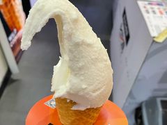 香草冰淇淋-野人先生现做冰淇淋(北京顺义祥云小镇店)
