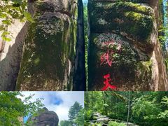 -五营红松林海景区