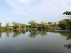 -长兴太湖图影湿地文化园