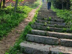 -冶父山国家森林公园