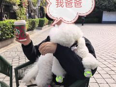 -星巴克臻选(思南公馆店)