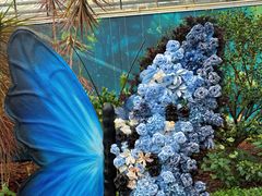 -上海鲜花港