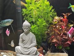 -EASY POWER健身工作室(浦东大道店)