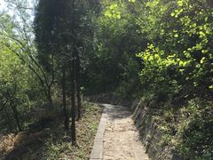 -神农山景区