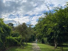 -中国科学院西双版纳热带植物园