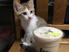 -1点点(金桥店)