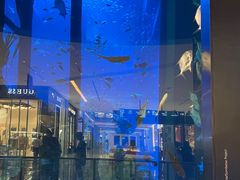 -迪拜水族馆及水下动物园