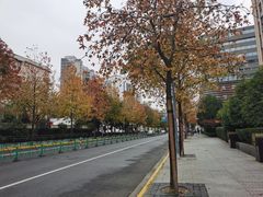 -上海市徐汇区口腔医院