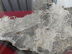 -房山世界地质公园博物馆