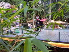 -二荆条·蜀鲜汇城市森林火锅