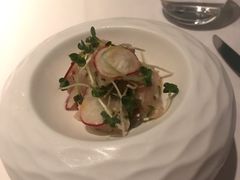 -蝶舍·MAISON PAPILLON