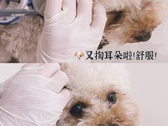 -美联众合动物医院·24h京西诊疗中心