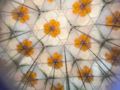 -猫的天空之城概念书店(印象城购物中心店)