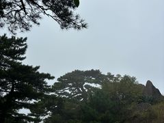 -海底捞火锅(杭州庆春路夜宵主题店)