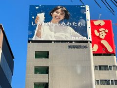 -秋叶原电器街