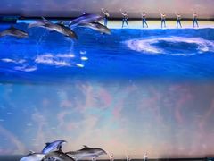 -上海海昌海洋公园