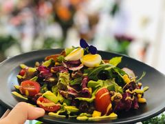 wkate&nbsp;salad-威克特披萨汉堡