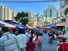 -细村农贸综合市场
