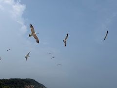 -棒棰岛宾馆景区