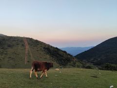 -大姆山草场