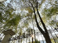 -明月山天沐温泉度假村