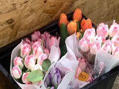 -缦云里花园餐厅