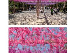 -狼山风景名胜区