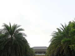 -康莱德酒店·望海阁大堂吧