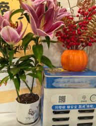 点击看大图 -Dr.林醫生产后修复·配方产康(南京江宁万达店)