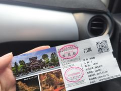 -乐山乌木文化博览苑