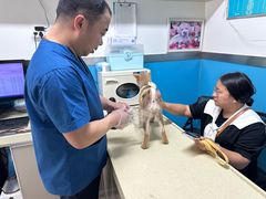 -康爱犬猫诊所·牙专科·骨外科·影像内科(丰宁店)
