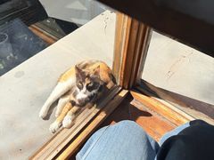 -时光花园(白鹭洲店)