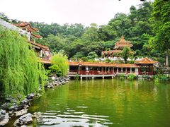 -深圳仙湖植物园