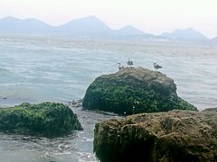 -海驴岛(荣成市)