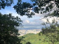 -阳台山森林公园