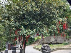 -第一山景区