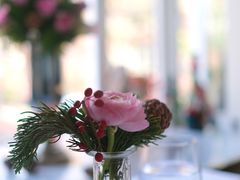 -蝶舍·MAISON PAPILLON