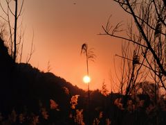 -蟠龙山长城景区