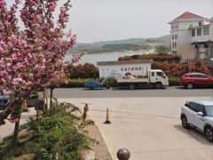-金太狼4k国际影城