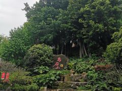 -乌山风景区