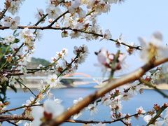 -广州市流溪河国家森林公园