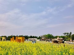 -光明小镇欢乐田园