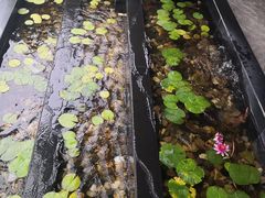 -徐记海鲜·宴会(大唐西市|丰庆店)