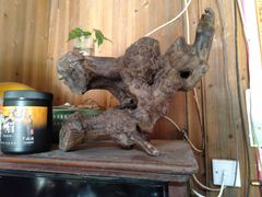 -徽三说·土徽菜·中国徽菜连锁品牌(一中店)